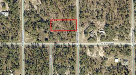 Tbd SW Admiral Landing Drive, Dunnellon, FL 34431