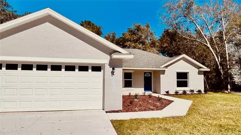 57 Bay Dr, Ocklawaha, FL 32179