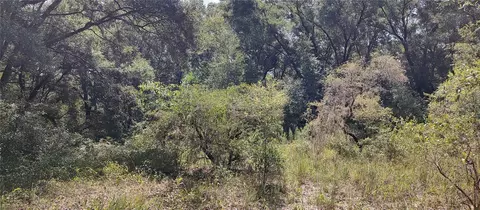 00 SE 131st Ln, Belleview, FL 34420