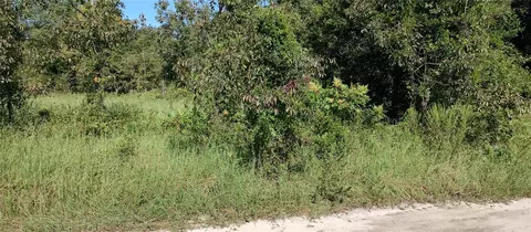 00 SE 33rd Ter, Summerfield, FL 34491
