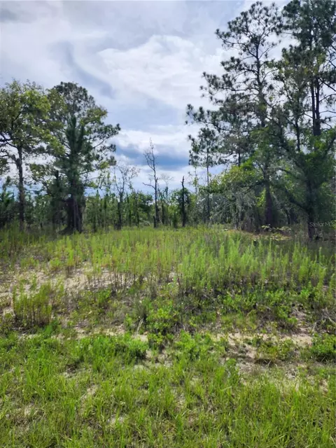 SW Winding Hills Road, Dunnellon, FL 34431