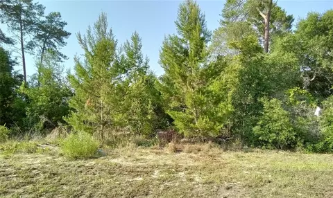 Marion Oaks Golf Road, Ocala, FL 34473