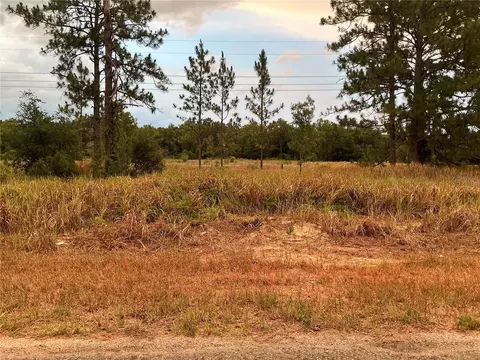 tbd SE 115th Place Rd, Ocklawaha, FL 32179