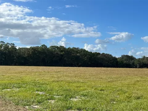 tbd SE 170 Ave Rd #TRACT A, Ocklawaha, FL 32179