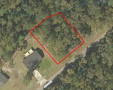 Sequoia Drive, Ocklawaha, FL 32179