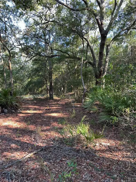 tbd NE 75th St, Bronson, FL 32621
