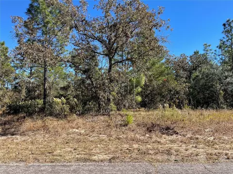 6777 N Dunlap Ter, Citrus Springs, FL 34433