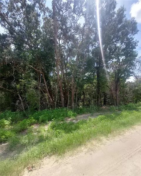 00 SW 106 St #LOT 7, Dunnellon, FL 34432