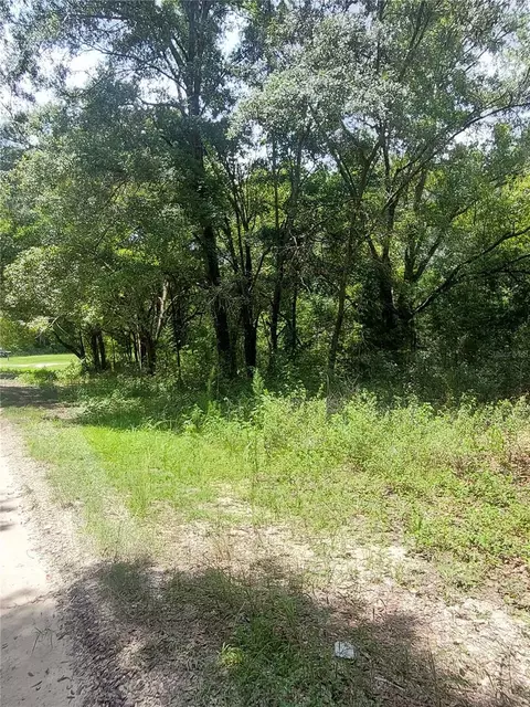 00 SW 110 Pl #LOT 12, Dunnellon, FL 34432