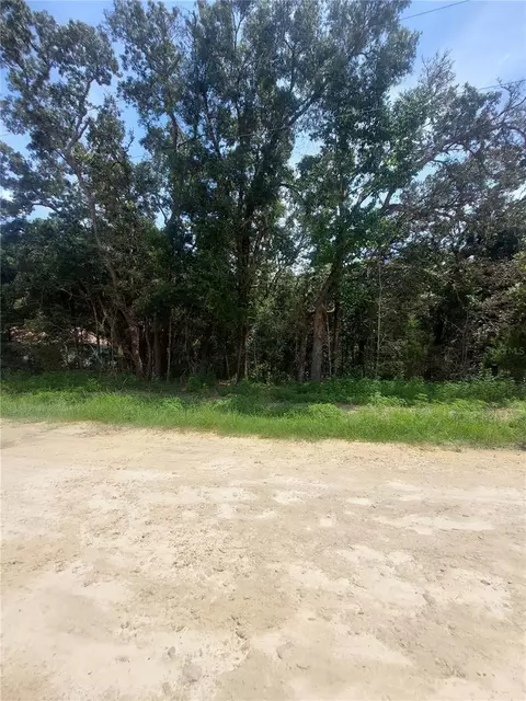 00 SW 106 Pl #LOT 16, Dunnellon, FL 34432