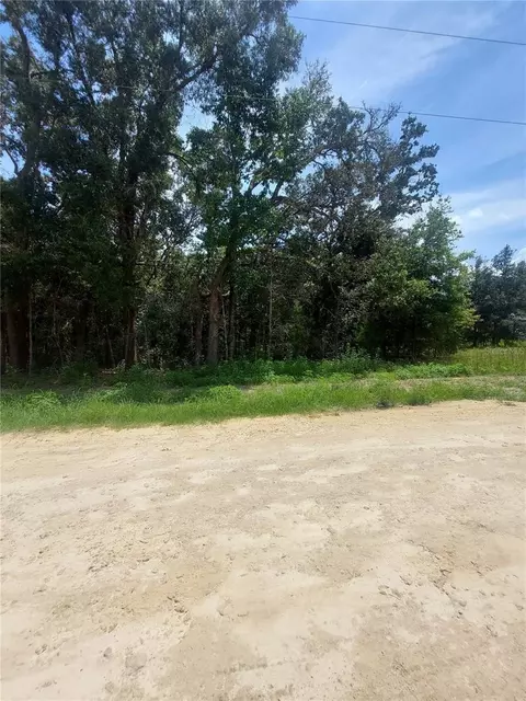 00 SW 106 Pl #LOT 17, Dunnellon, FL 34432