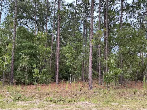 lot8 SW 137th Court Rd, Ocala, FL 34481