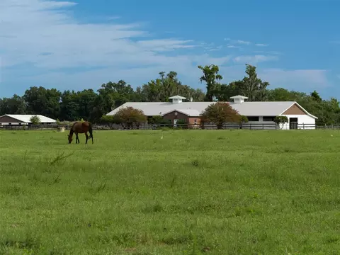 13430 NW Highway 225, Reddick, FL 32686
