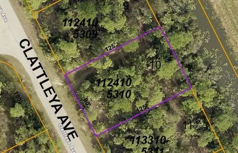 Clattleya Avenue, North Port, FL 34288