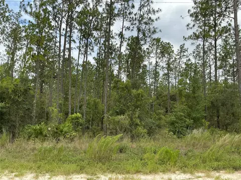 lot11 SW 73rd St, Dunnellon, FL 34432