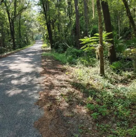tbd NW 200th St Rd St, Micanopy, FL 32667