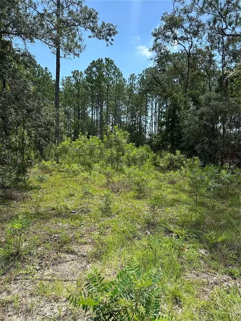 Sw 166 Ct Rd, Ocala, FL 34481