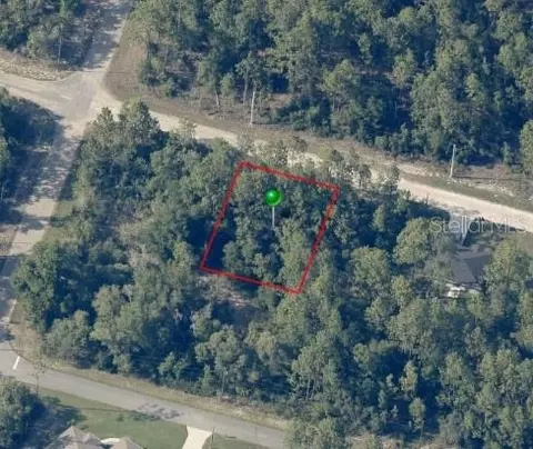 8884 N Vienna Dr, Dunnellon, FL 34433