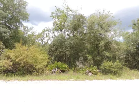 tbd NE 137th Ct, Williston, FL 32696