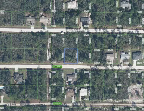 Pelican Avenue, Sebring, FL 33870