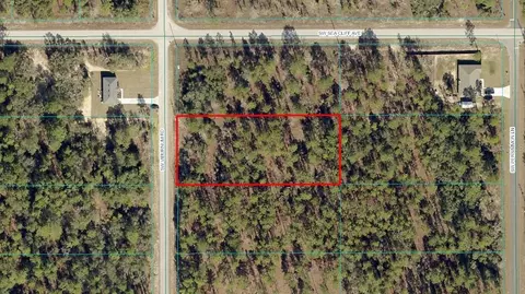 tbd SW Lot 39 Sw Viburnum Rd, Dunnellon, FL 34431