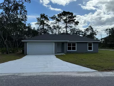181 Fisher Way Loop, Ocklawaha, FL 32179