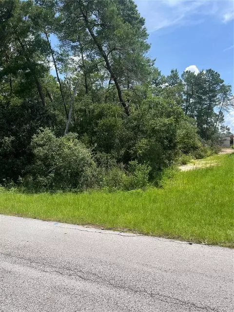 tbd SW 41 Ave, Ocala, FL 34476