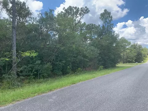 0 SW Mango Ln, Dunnellon, FL 34431