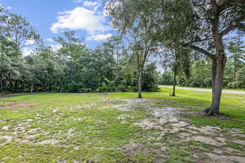 Tbd Fisher Way, Ocklawaha, FL 32179