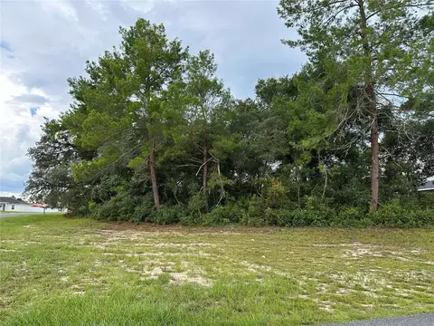 0000 SW 154 Ln, Ocala, FL 34473