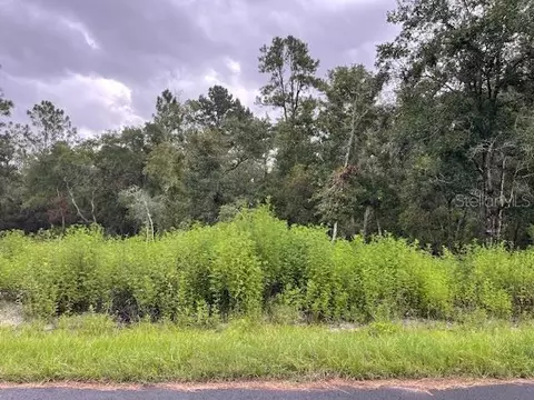 3 Locust Rad Circle, Ocala, FL 34472
