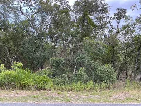 lot18 SW Mango Ln, Dunnellon, FL 34431