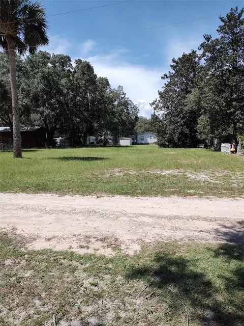 153 Rd Ln, Fort Mc Coy, FL 32134