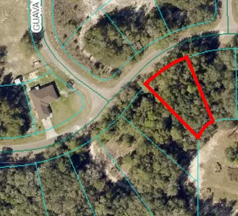 0 Guava Pass # 14, Ocklawaha, FL 32179