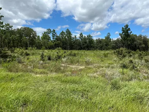 tbd SW 88th St, Dunnellon, FL 34432