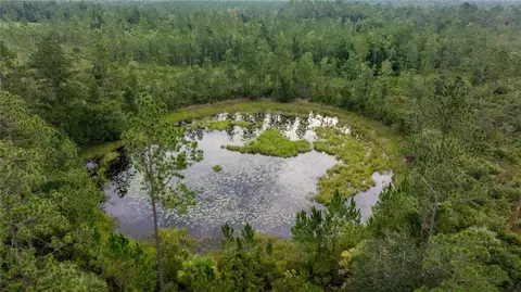 tbd NE 150th Ave Rd, Fort Mc Coy, FL 32134