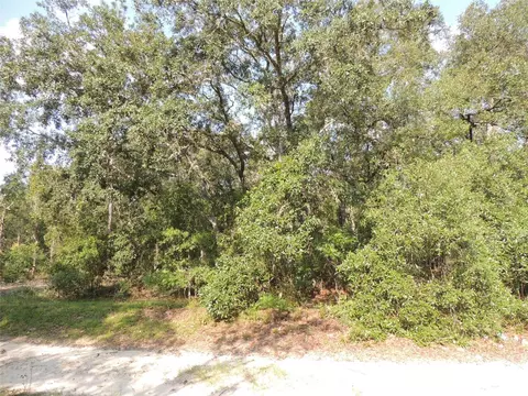 7550 NE 95th Ave, Bronson, FL 32621