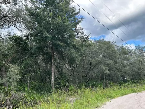 SW 152nd Place, Dunnellon, FL 34433