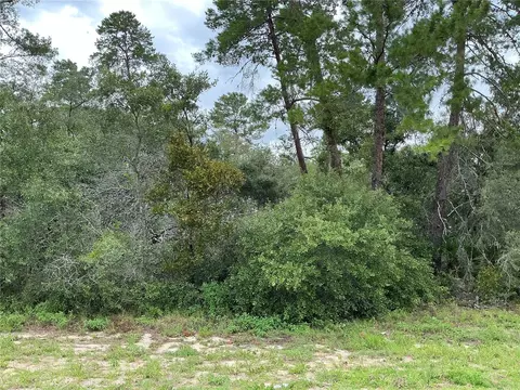 lot12 SW 168th Loop, Ocala, FL 34473