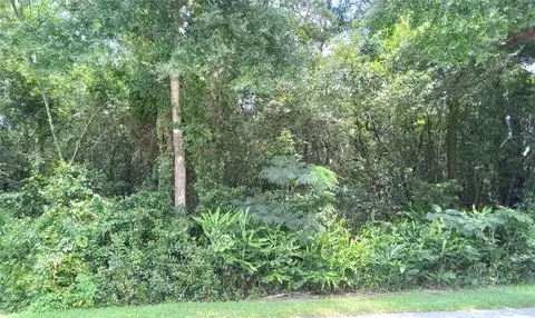 lot S 38 To 40 Se 138th Pl, Summerfield, FL 34491