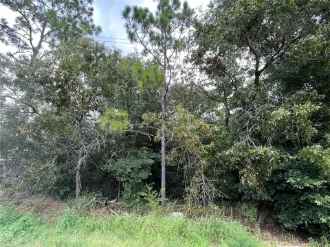 tbd Hemlock Circle Trak, Ocala, FL 34472