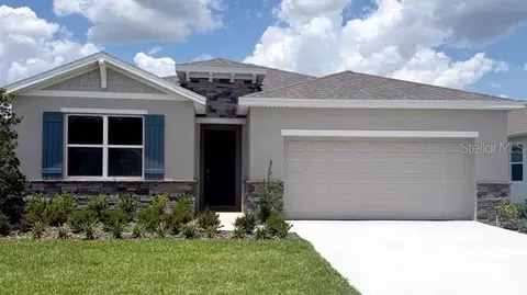 3148 Canopy Oak Blvd, Wildwood, FL 34785
