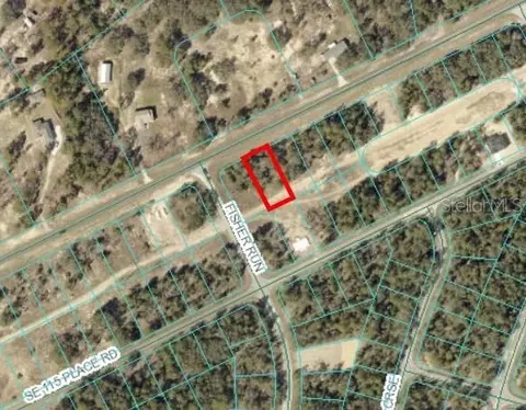 tbd SE 113th St, Ocklawaha, FL 32179