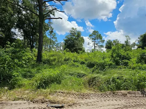 0 SE 104th Ter, Belleview, FL 34420