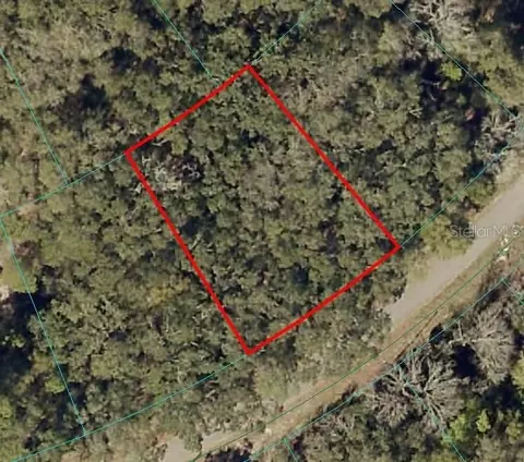 Fisher Lane Ct, Ocklawaha, FL 32179
