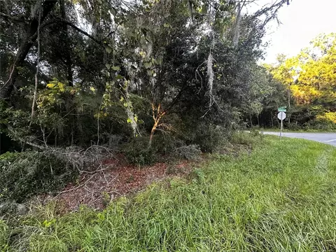 00 Locust Run Crs, Ocala, FL 34472