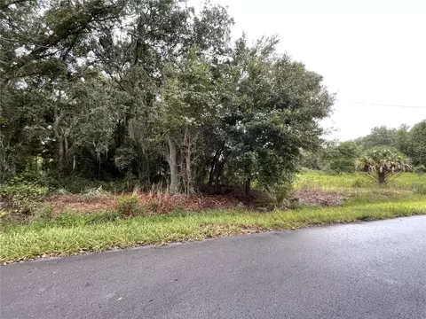 tbd Locust Run Radl, Ocala, FL 34472