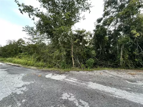 tbd Hickory Track Dr, Ocala, FL 34472
