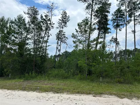 tbd SE 58th Ln, Morriston, FL 32668