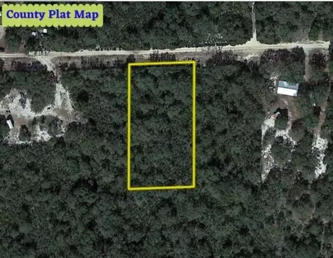 tbd NE 81st St, Bronson, FL 32621